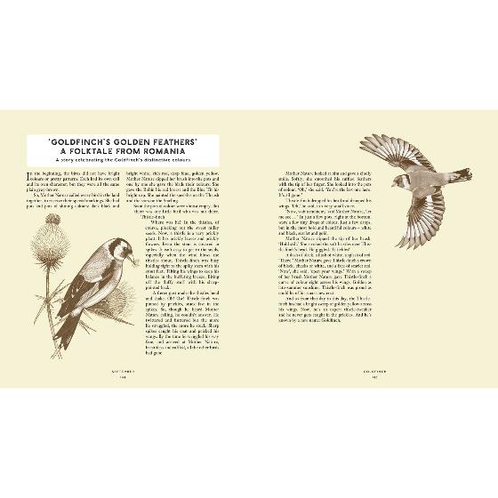 RSPB Bird tales: traditional stories, folklore and activities product photo ai4 L