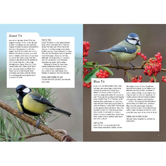 RSPB Birding year by Dominic Couzens and Siân Duncan product photo side L