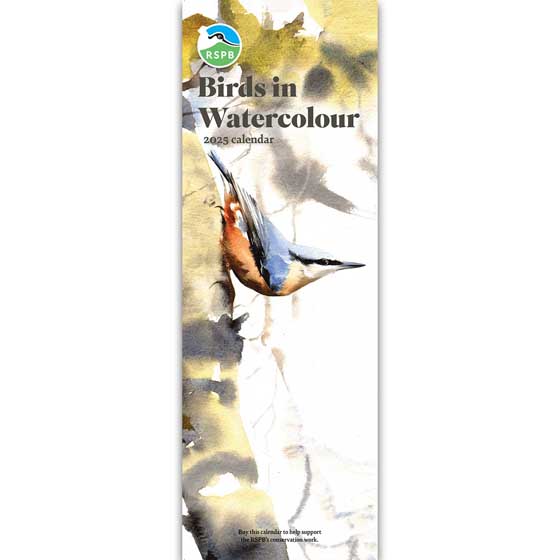 RSPB Birds in watercolour calendar 2025 product photo default L