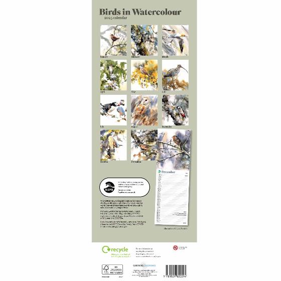 RSPB Birds in watercolour calendar 2025 product photo back L