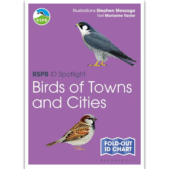 Birds of towns & cities identifier chart - RSPB ID Spotlight series product photo default L