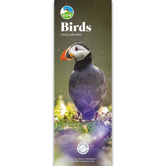 RSPB Birds calendar 2025 product photo default L