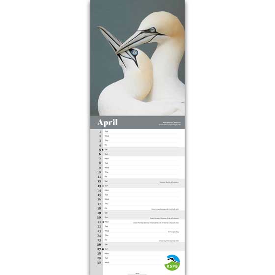 RSPB Birds calendar 2025 product photo side L