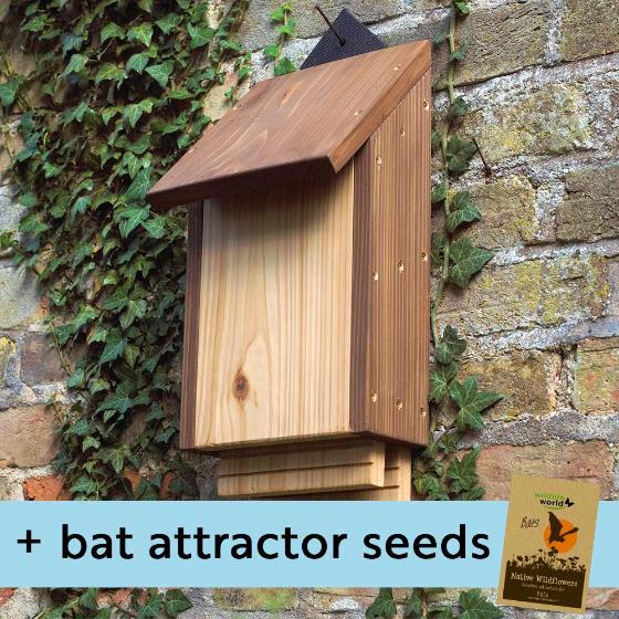 RSPB Burford bat box & bat attractor seeds product photo default L