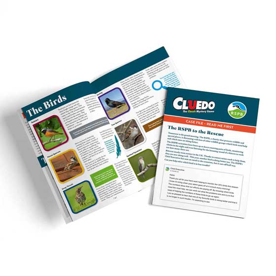 RSPB Cluedo special edition product photo front L