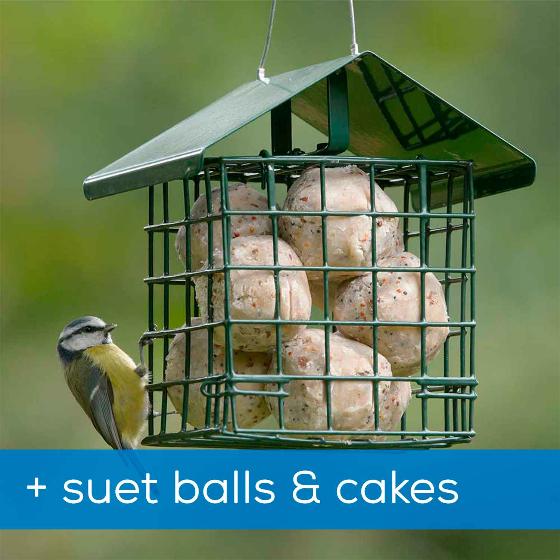Dual suet feeder starter pack with fat balls & cakes product photo default L