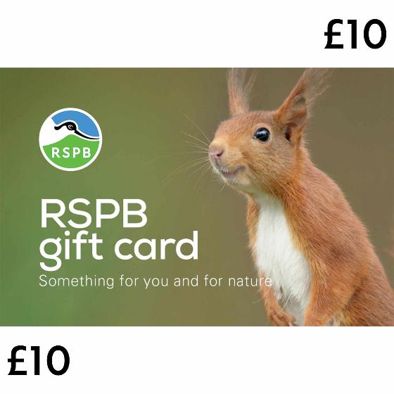 RSPB E-gift card £10 product photo default L