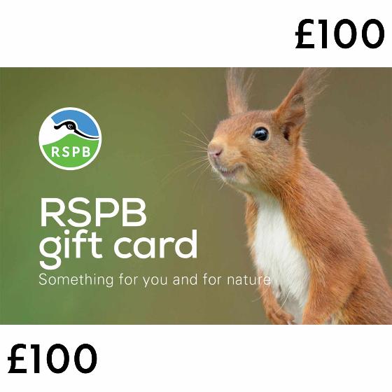 RSPB E-gift card £100 product photo default L