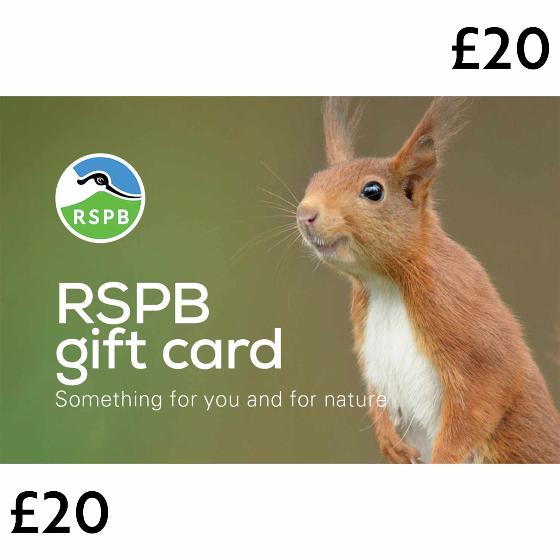 RSPB E-gift card £20 product photo default L
