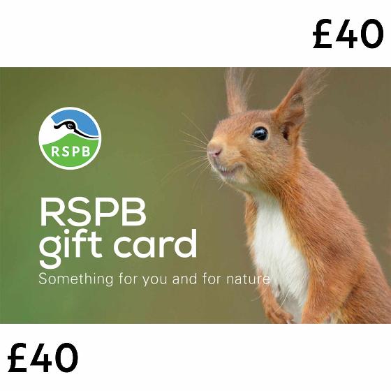 RSPB E-gift card £40 product photo default L