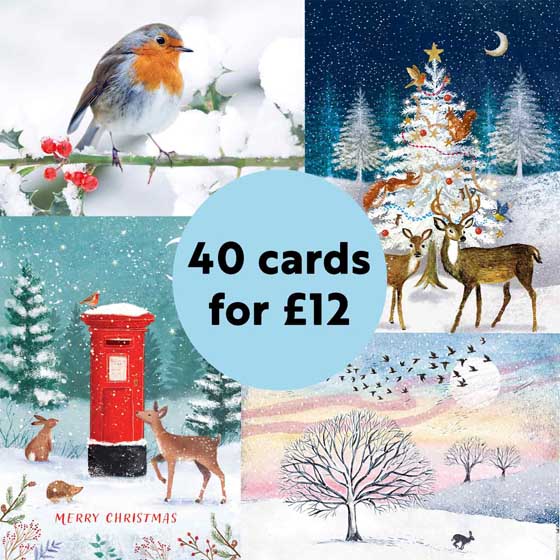 Fab 40 bumper pack of Christmas Cards product photo default L