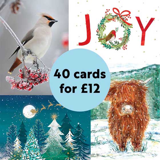 Fab 40 bumper pack of Christmas Cards product photo side L