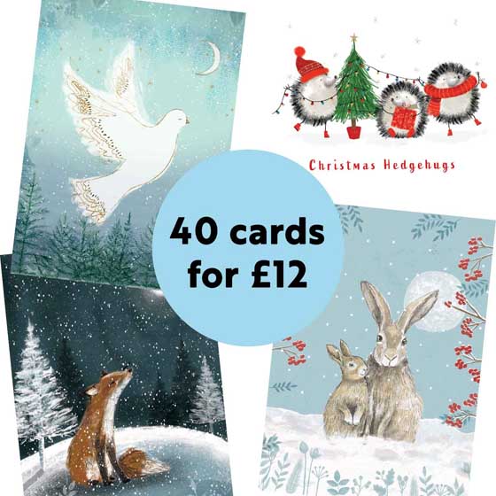 Fab 40 bumper pack of Christmas Cards product photo ai5 L