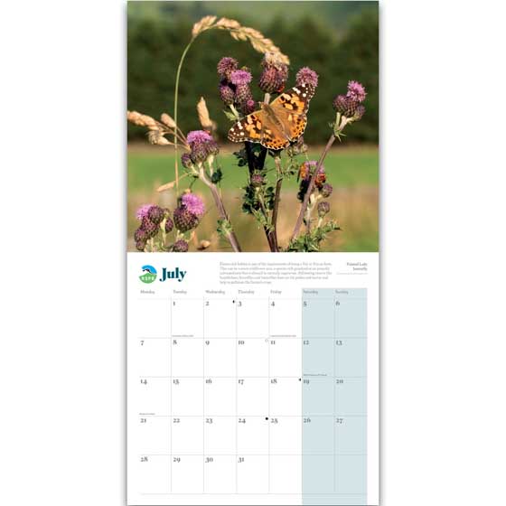 RSPB Farmland wildlife calendar 2025 product photo side L