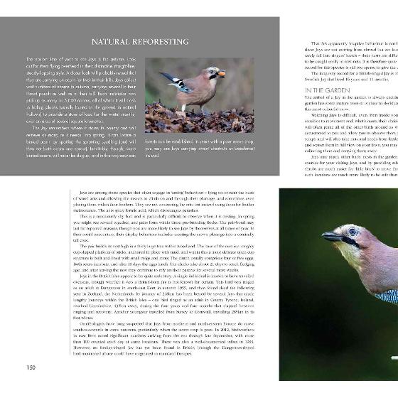 RSPB Garden birds by Marianne Taylor product photo back L
