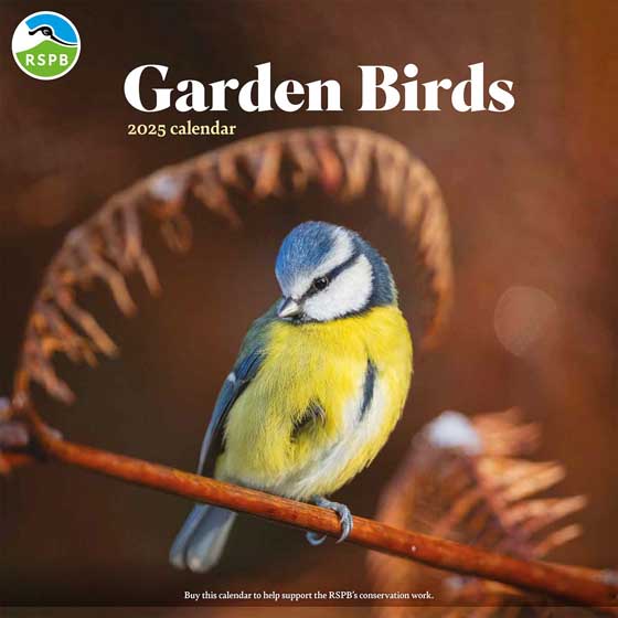 RSPB Garden birds calendar 2025 product photo default L