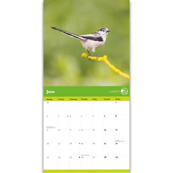 RSPB Garden birds calendar 2025 product photo side L