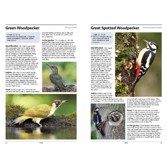 RSPB Handbook of garden wildlife, 3rd edition product photo back L