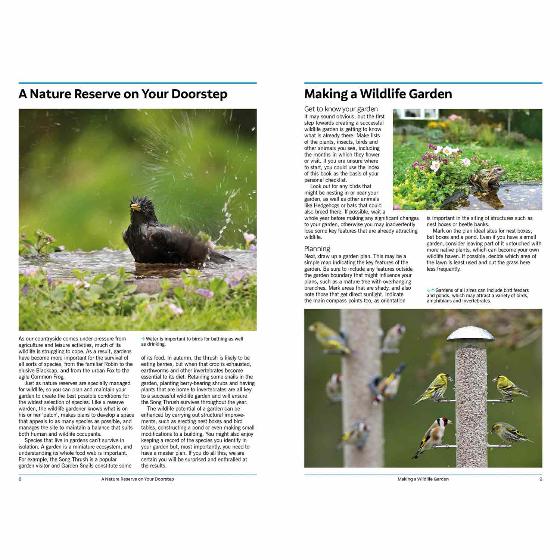 RSPB Handbook of garden wildlife, 3rd edition product photo front L