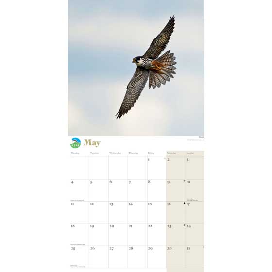 RSPB Heathland wildlife calendar 2026 product photo side L