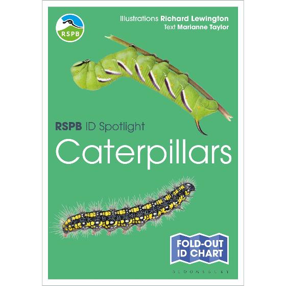 RSPB ID Spotlight - Caterpillars product photo default L