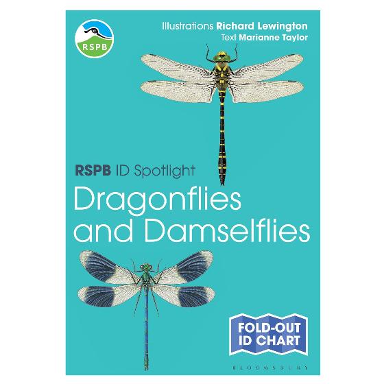 Dragonflies and damselflies identifier chart - RSPB ID Spotlight series product photo default L