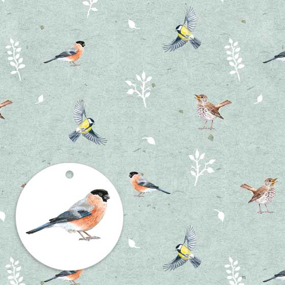 RSPB Birds wrapping paper & gift tags - In the wild collection product photo default L