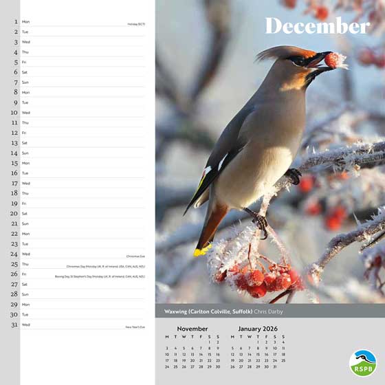 RSPB Inspiring nature calendar 2025 - Calendars & diaries