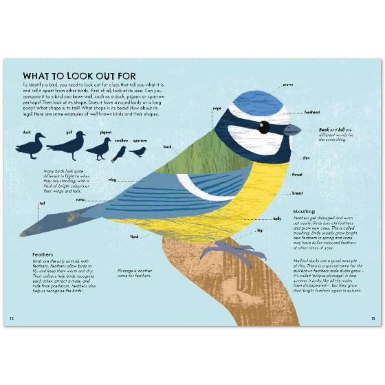 RSPB Nature Guide: Birds product photo side L
