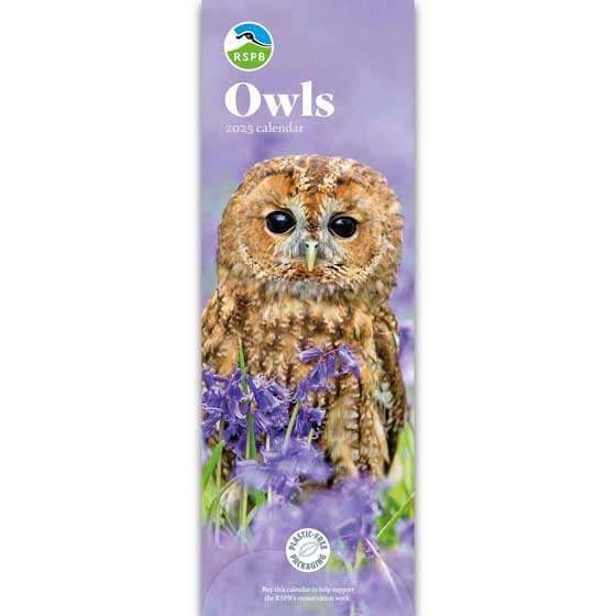 RSPB Owls calendar 2025 product photo default L