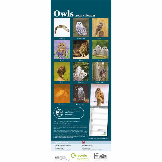 RSPB Owls calendar 2025 product photo back L