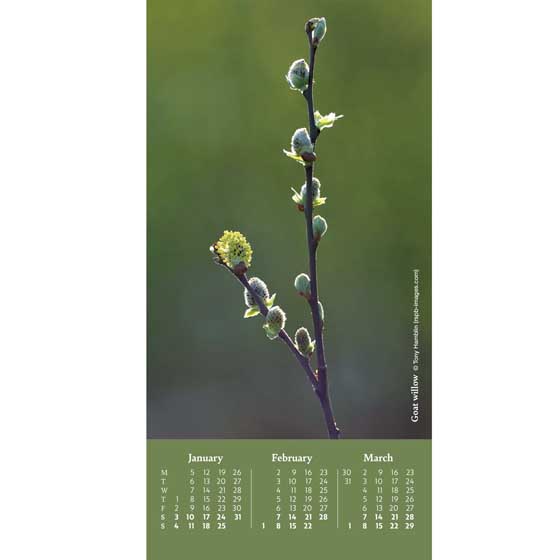 RSPB Pocket diary with photo cover 2026 product photo back L