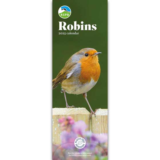 RSPB Robins calendar 2025 product photo default L