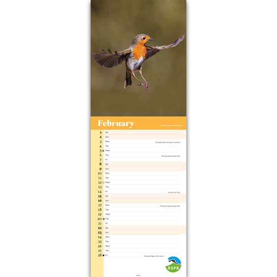 RSPB Robins calendar 2025 product photo side L