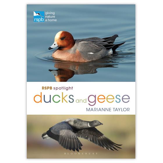 RSPB Spotlight Ducks and Geese product photo default L