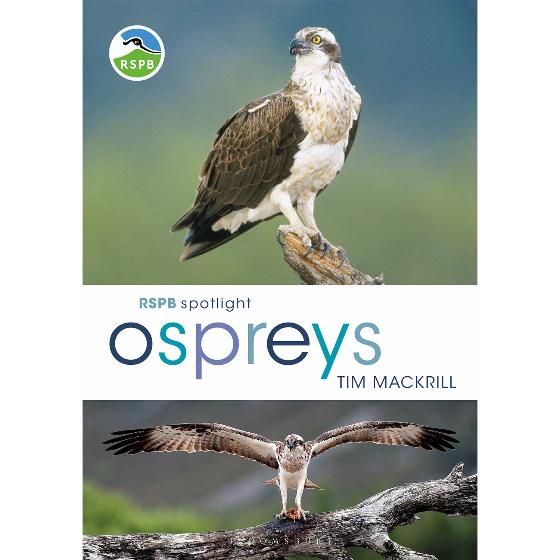RSPB Spotlight ospreys product photo default L