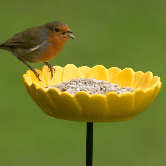 Premium sunflower hearts bird seed 900g product photo front L