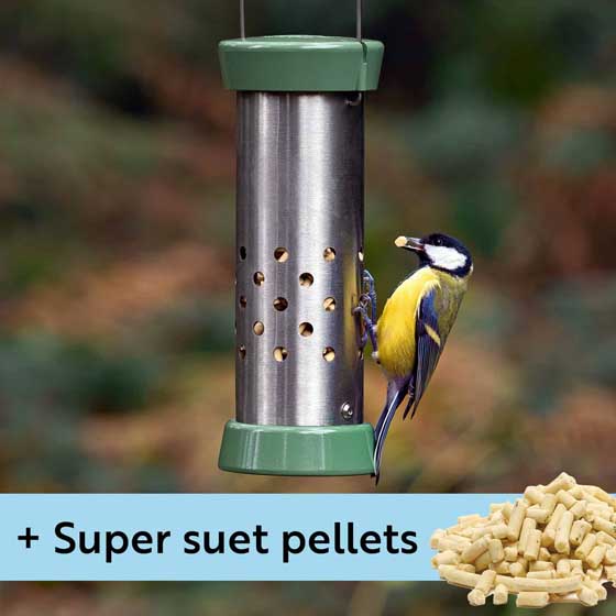 RSPB Ultimate easy-clean® cheater bird feeder, small & Super suet pellets - mealworm 1kg product photo default L