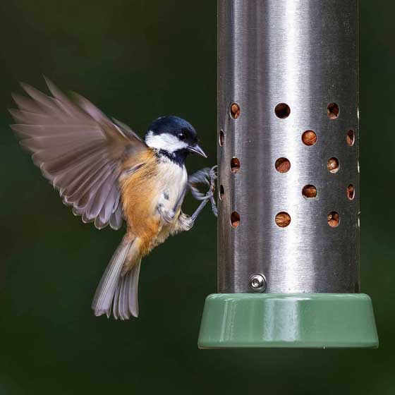 RSPB Ultimate easy-clean® cheater bird feeder, small product photo back L