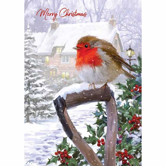 Rustic Robin Christmas cards, pack of 10 product photo default L