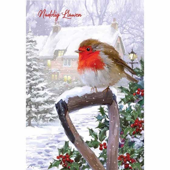 Rustic Robin Welsh Christmas cards, pack of 10 product photo default L