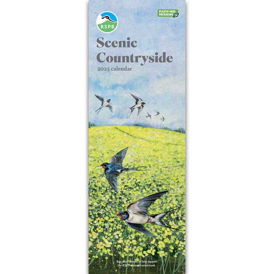 RSPB Scenic countryside calendar 2025 product photo default L