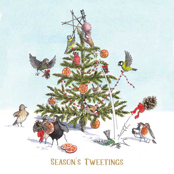 Season's tweetings Christmas cards, pack of 10 product photo default L