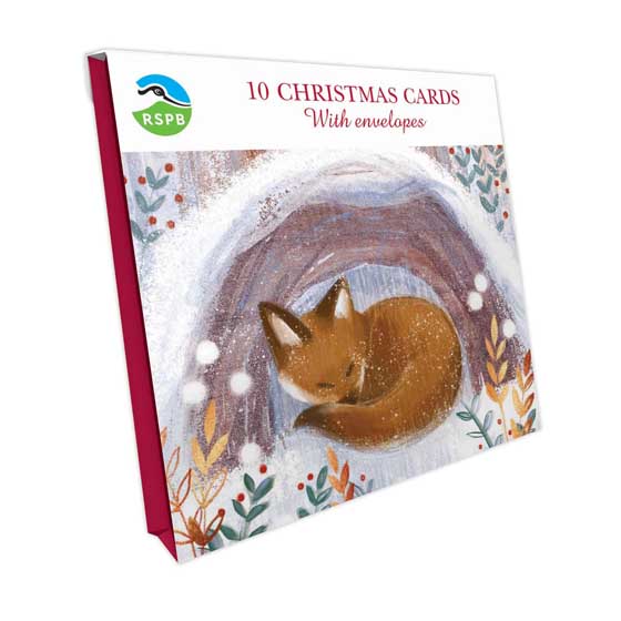 Snuggling fox Christmas cards, pack of 10 product photo side L