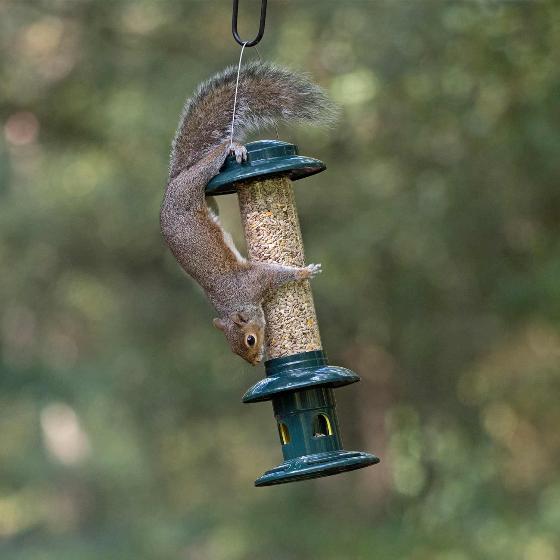 Squirrel Buster Evolution seed feeder product photo back L