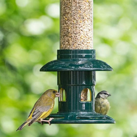 Squirrel Buster Evolution seed feeder product photo front L