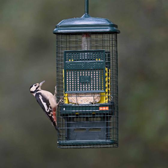 Squirrel Buster suet feeder and suet cakes product photo side L