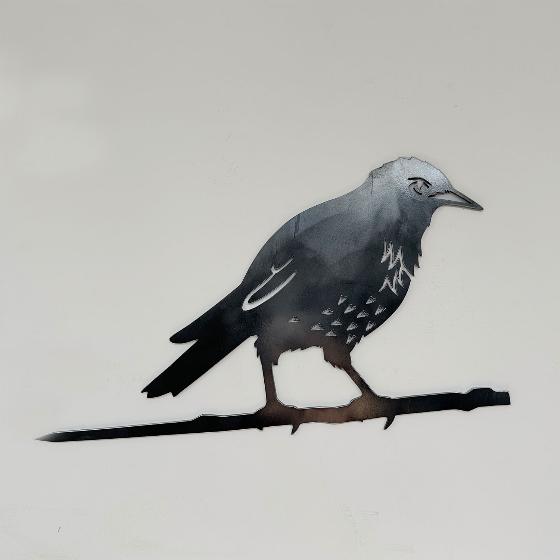 Starling metal bird product photo side L