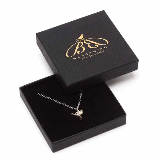 Sterling silver Robin necklace by Blackbird Jewellery product photo front L