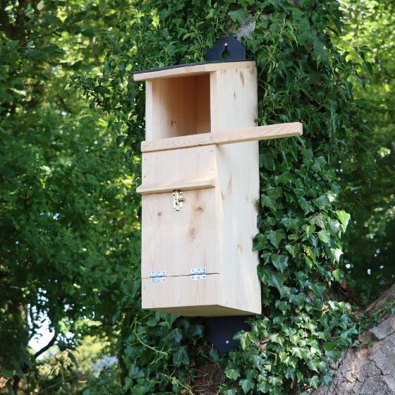 Tawny Owl nest box product photo default L